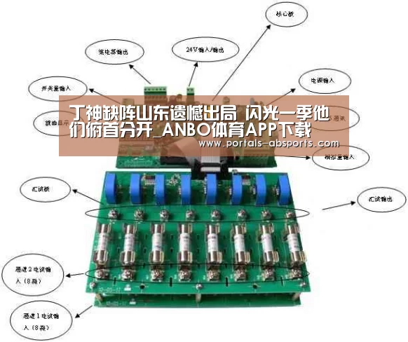 丁神缺阵山东遗憾出局 闪光一季他们俯首分开_ANBO体育APP下载(图1) 安博电竞官网入口