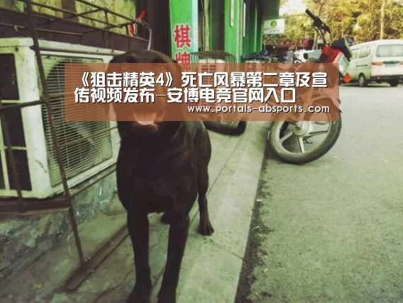 安博电竞官网入口